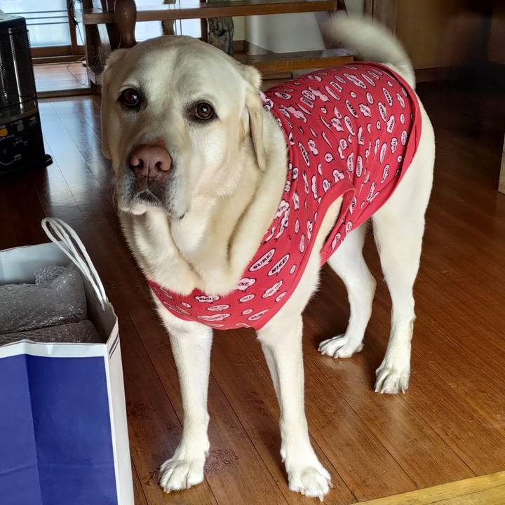 637f1732 6d2c 4754 9485 a04a36bf6b73 1644542788426