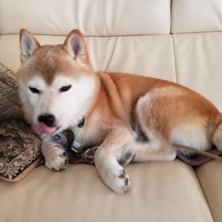 637f6b89 c8fa 4211 911a ac48e09870ef 1660868663150