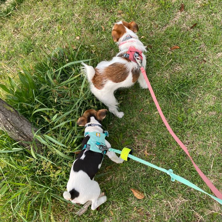 637f911e 7ee9 4a01 aa82 673fe3676108 1746270917596