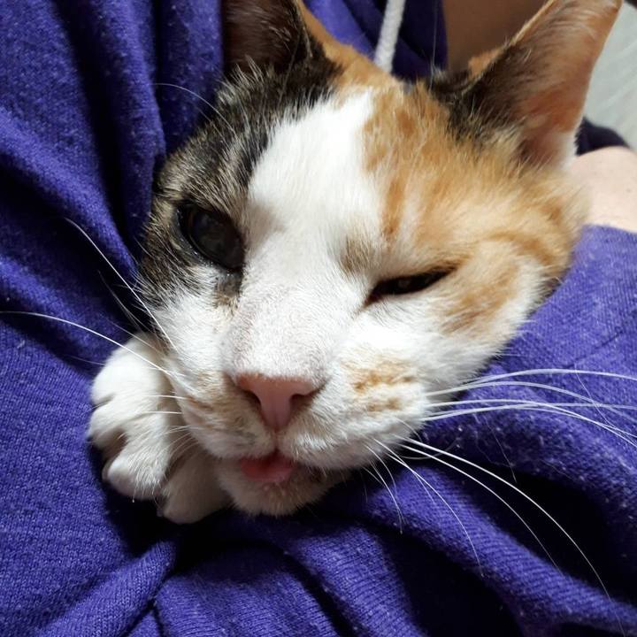 637f994e 97ff 454d 9f2c 3be1fced05e5 1553088404483