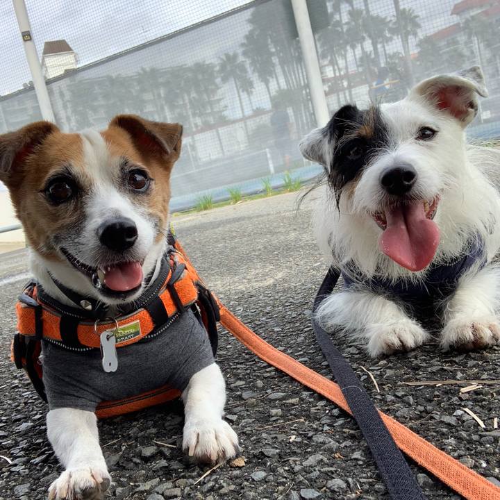 637f9e6c 8bb0 4131 ae51 9ca2cb804f14 1600477911825