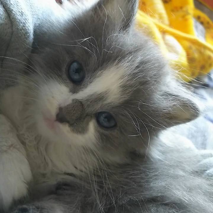 637fabfa a32f 4982 93c9 a953fd047083 1558672025962