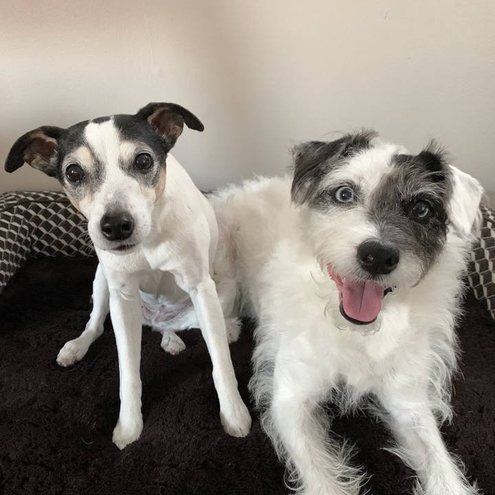 637fb94e 121f 4117 ac3e 62ca25955f02 1615159486017