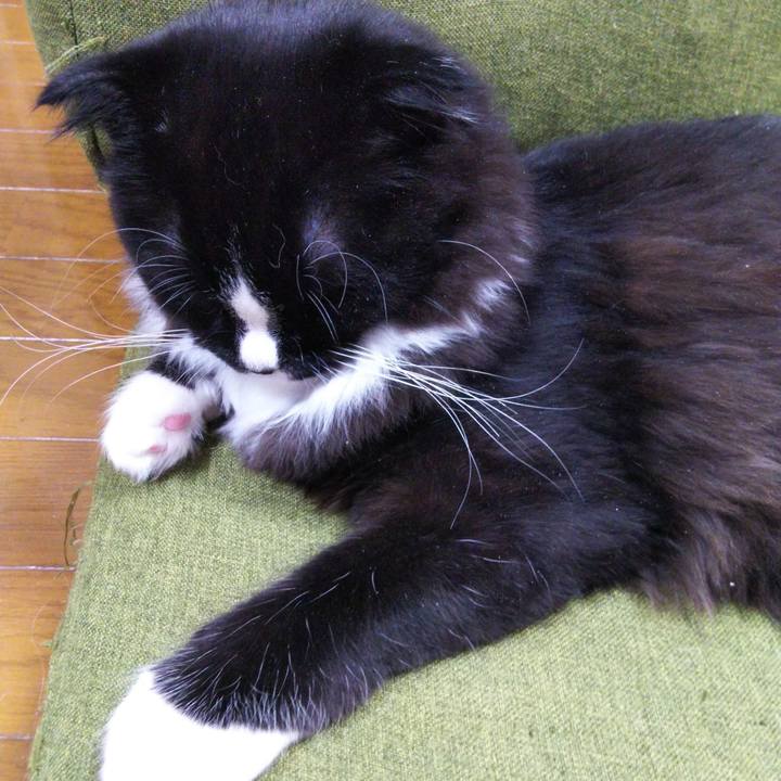 637fbabe 0df6 4d4d 9015 e5875d6351f8 1645958898898