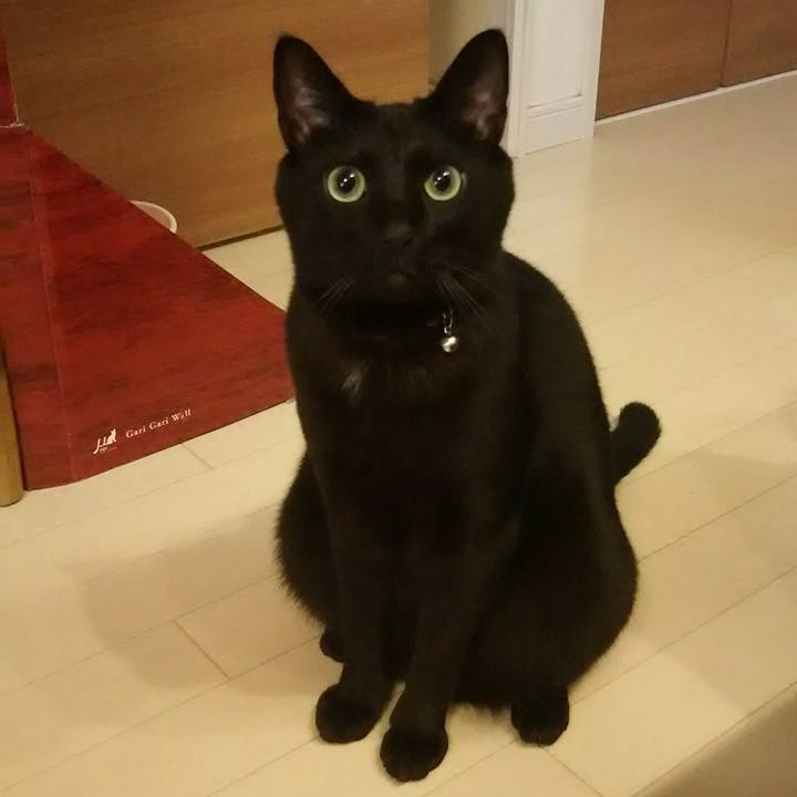 6380069f 393b 4213 a344 27d7632b834f 1543877790892