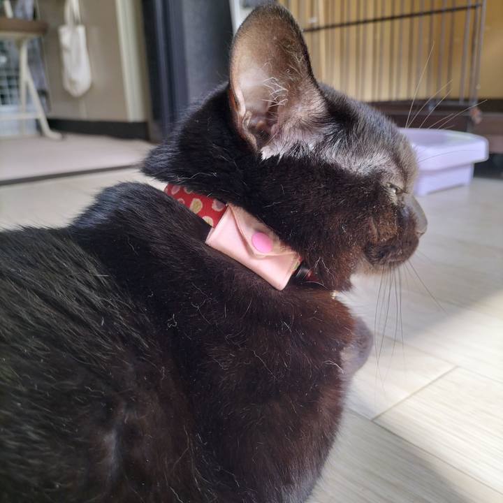 638007f6 03e1 4283 95cc 9d8d910b3bfd 1660953791267