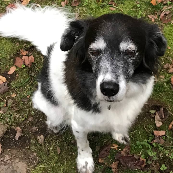 6380723a 06a6 43dc aab4 c18fdbf79e0a 1539696524273