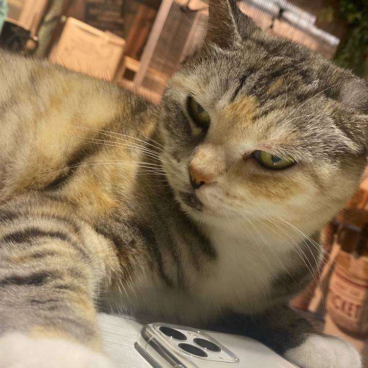 63807db5 03cd 4270 86f0 92209d603487 1626957120598