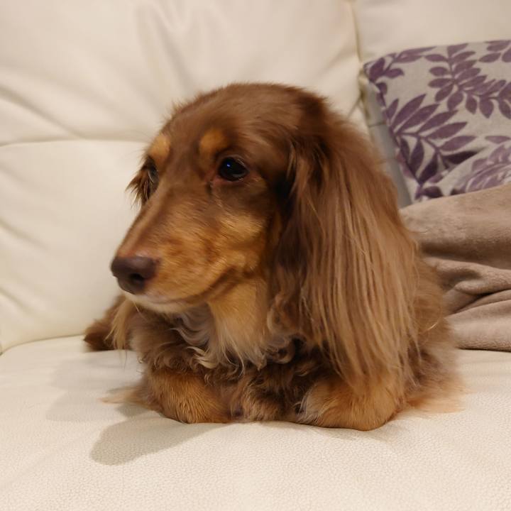 63809384 6837 406a 8799 feaa18f9ce8a 1668087465249