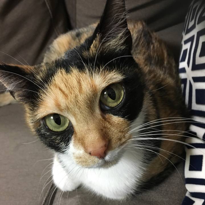 6380a96b 915a 4614 a2bc 5aff362acb81 1513172241003