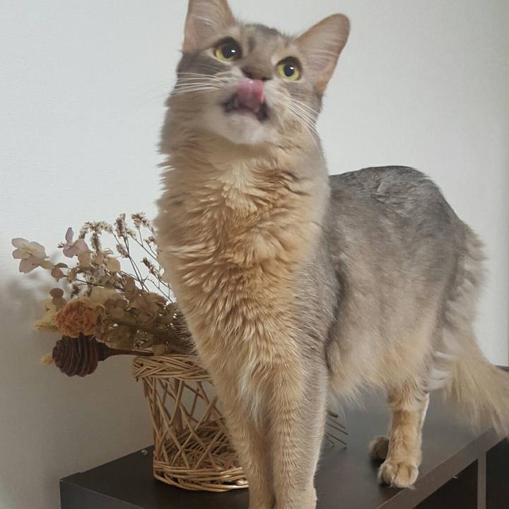 6380a9b6 2735 4e26 9833 98d828d7c7fb 1542201627407