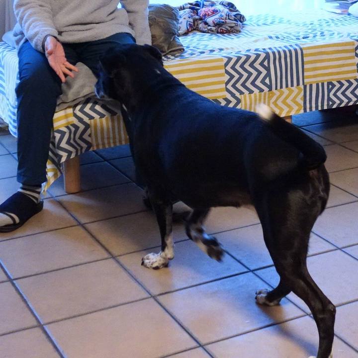 6380c7d7 8bc4 4dcb a7e3 2752f431fbb0 1735432472734