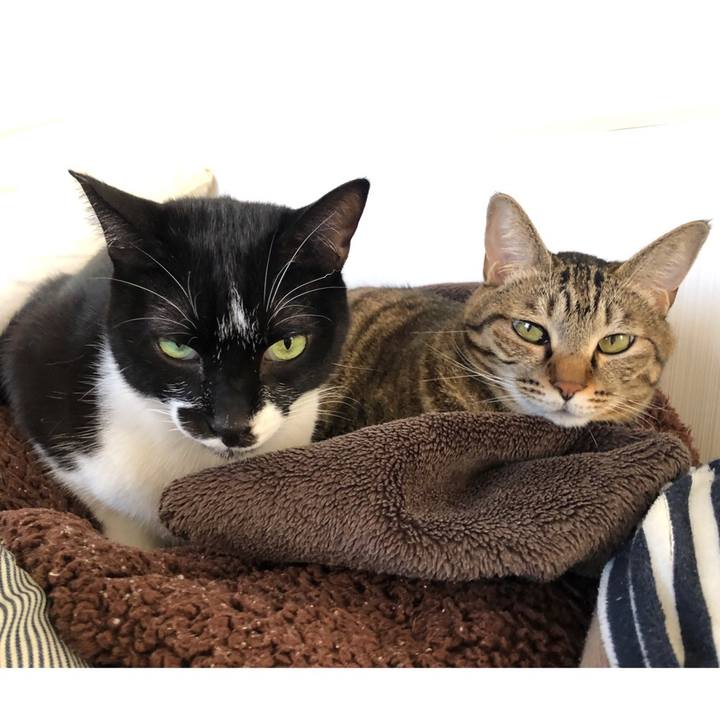 6380cce5 4db9 41dc 86c1 89cecb358864 1635782038232