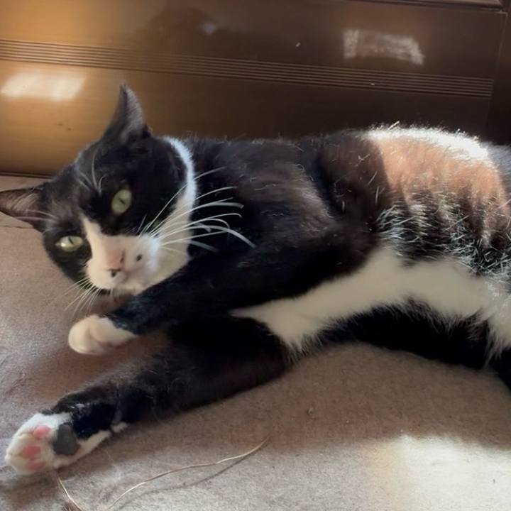 6381316f d206 4d41 8342 71e489423b92 1758686322187