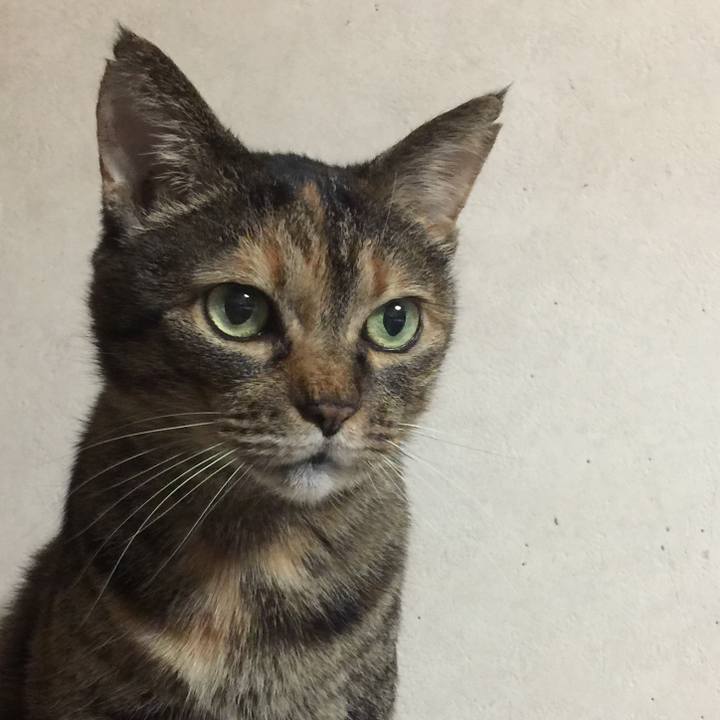 6381a101 21a5 49e0 a7e3 b9cdc5d78f4e 1583936485365