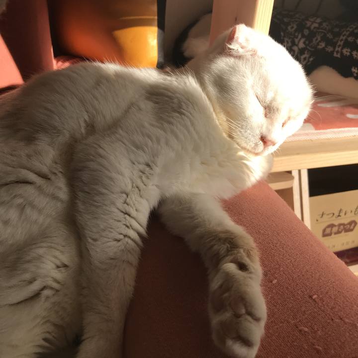 6381b620 dc2e 4cdd 8abb 83f357af6153 1514784852792