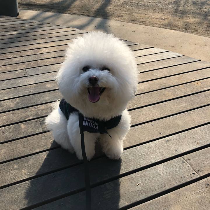 6381e1f8 80f7 4c3f 9e4f 42a8983935de 1518157468000