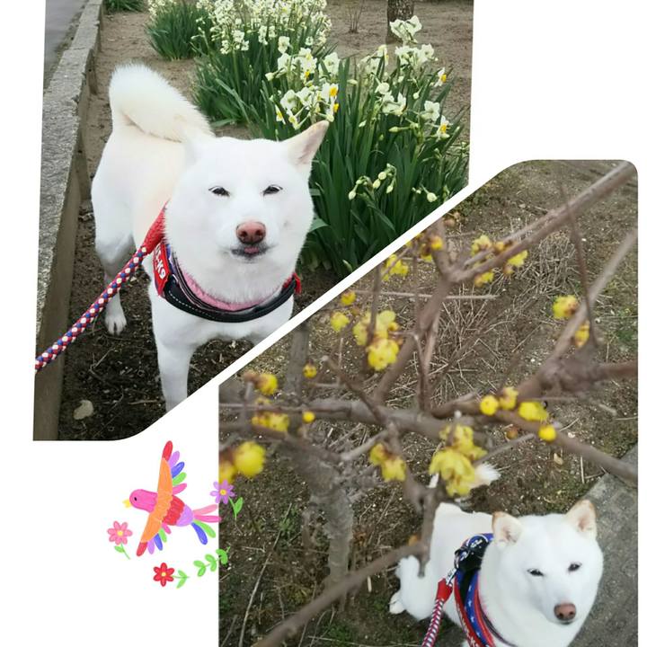 638209e4 694c 4839 a911 64a93974d2b4 1582255708892