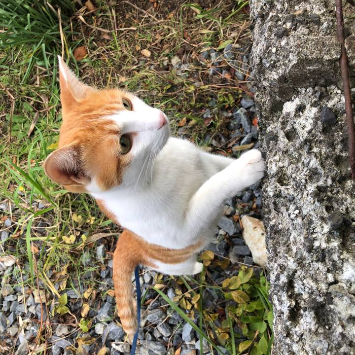 63824c74 2198 4b18 8630 83176b1de0cb 1540956578960