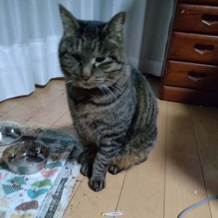 63824f15 8dd3 4e02 8bfe 0971a97c644d 1674255071566