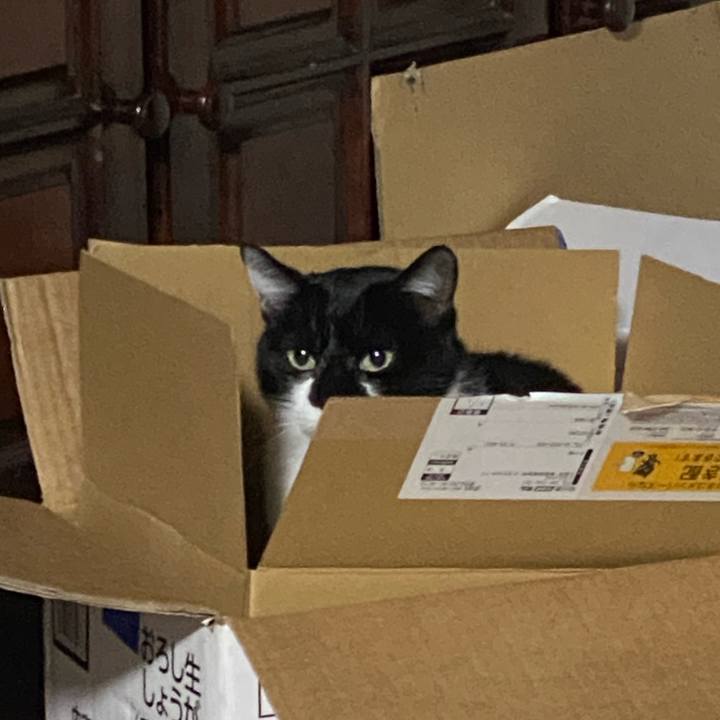 638252c2 b4c8 49ab bdab ad2428f648e2 1765007657536