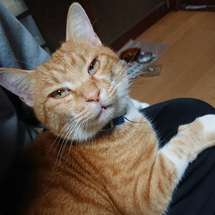 63825be2 f8cc 43e0 8351 07252e054605 1604392059158