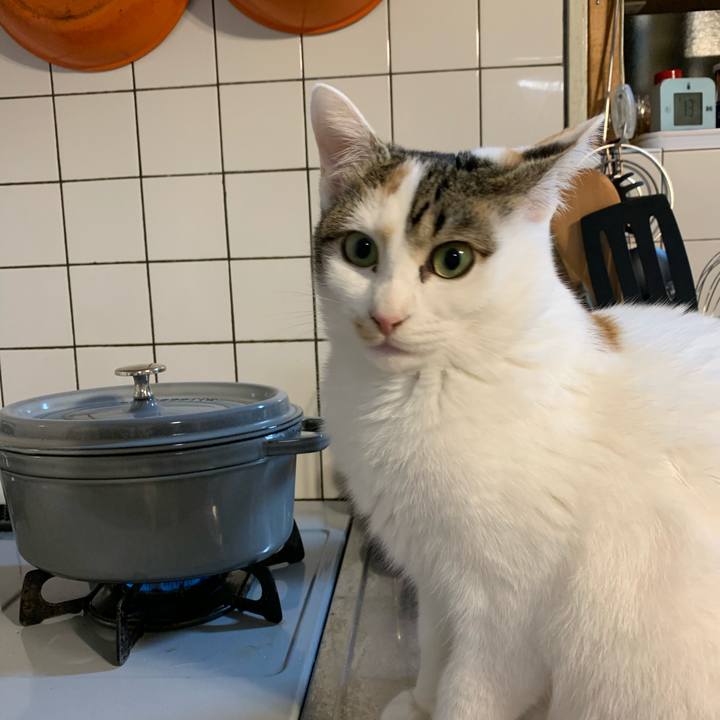 63825d24 8c69 4a97 9490 a541215254e8 1607250054889