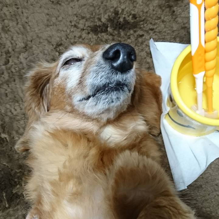 638267f7 6deb 424e 8447 f772d4158fda 1511285875871