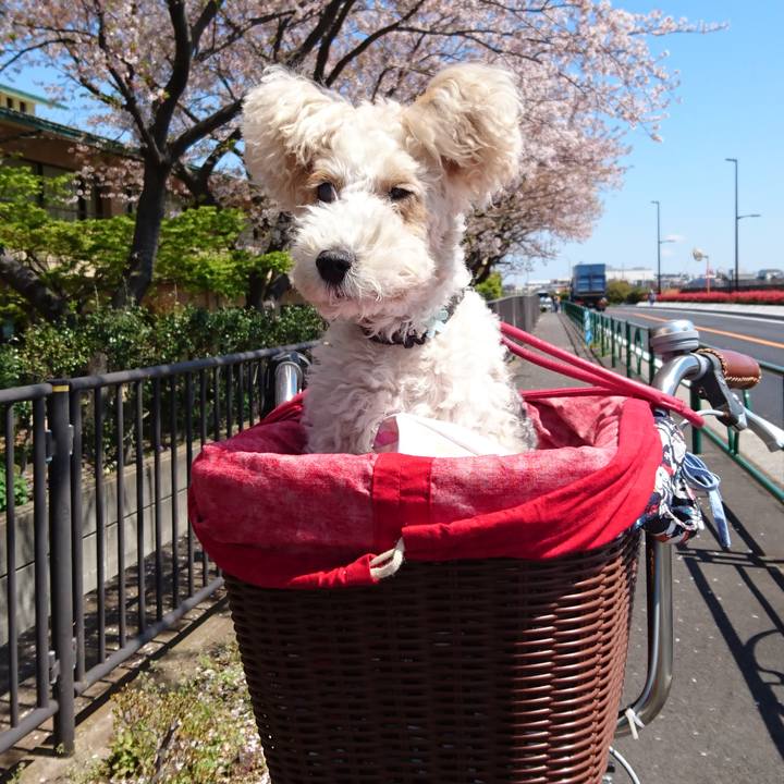 63826839 9400 47ef 9576 fa4a02d99294 1601854766891