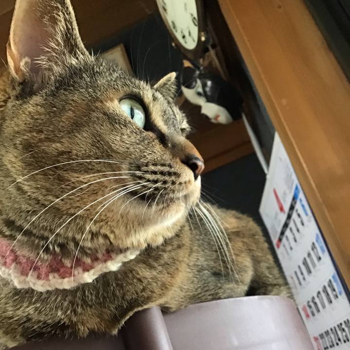 6382eddd 8466 434a 82ac f1f1b2f2b725 1713432523092