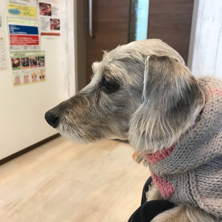 6382f3b0 1138 490f aeea d58ce41ee482 1508462780063