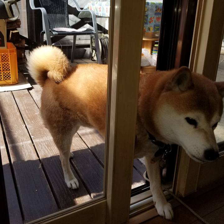 638316ae deaa 4596 a8f4 701fb04c0733 1619479581032