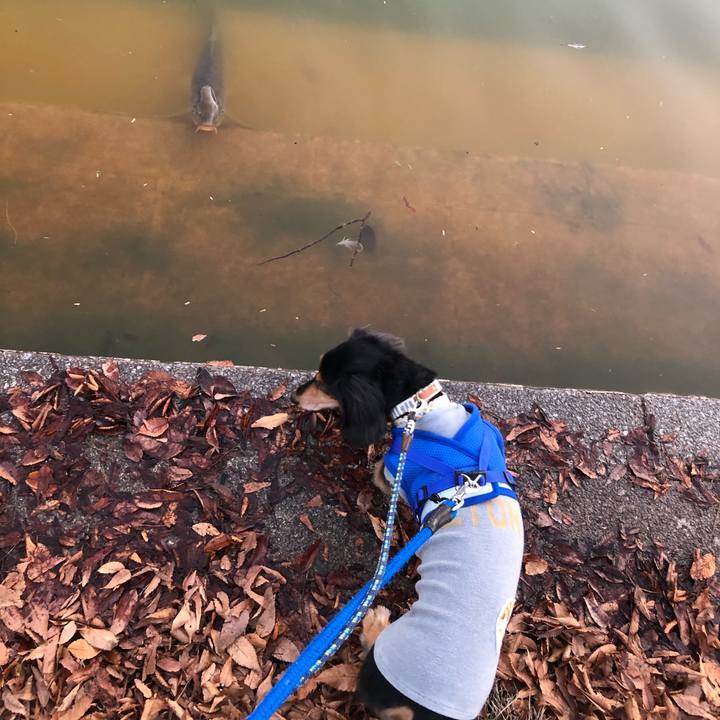 63835ce1 4c63 48c8 ac9b 913a6af6b89a 1575791245479