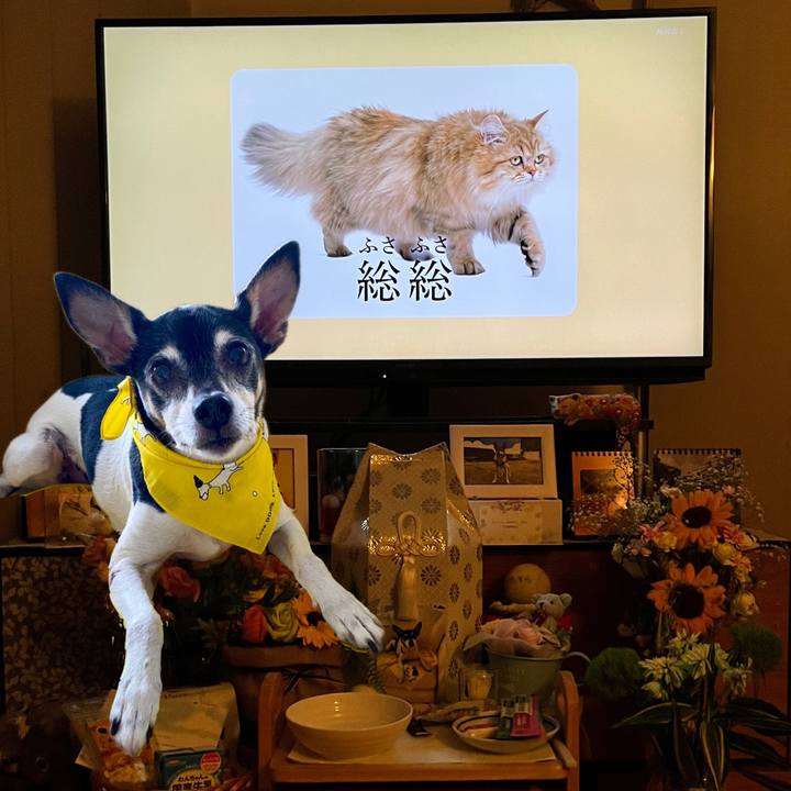 6383613e 289d 4927 9973 cafa0b5c3b12 1661958287575