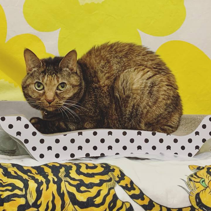 6383958a 58f0 41f3 a406 4179a1c4300c 1642153718865