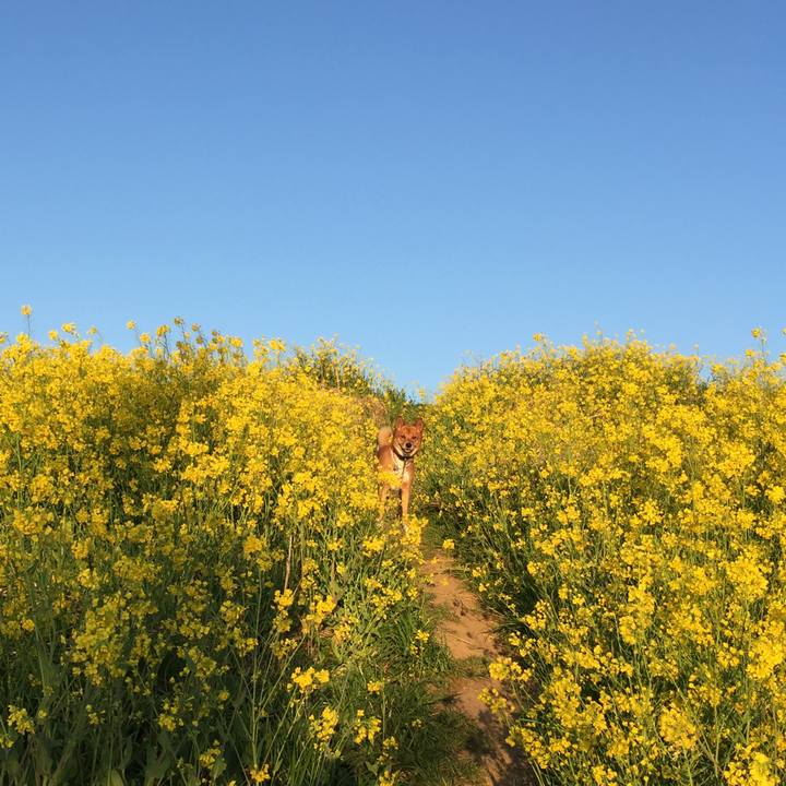 6383fb4b 619c 48d4 8d2d bf9b6ea99165 1553675507472