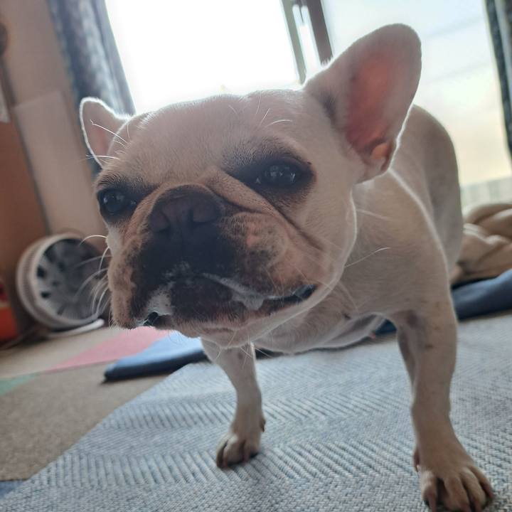 63843667 1070 496f 888d 8f42b14737a5 1698447967992