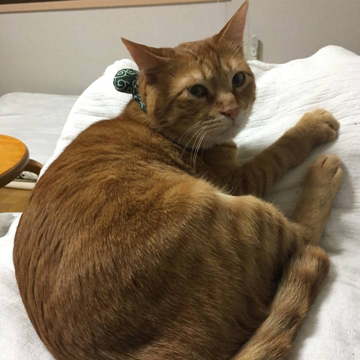 6384940c 31a2 4b57 828c a510875c6201 1551874676177