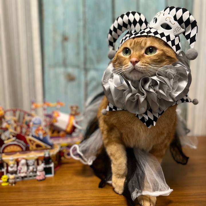 63849fa5 dcb7 4d8b 853d 9d7559cd46d2 1667119105671