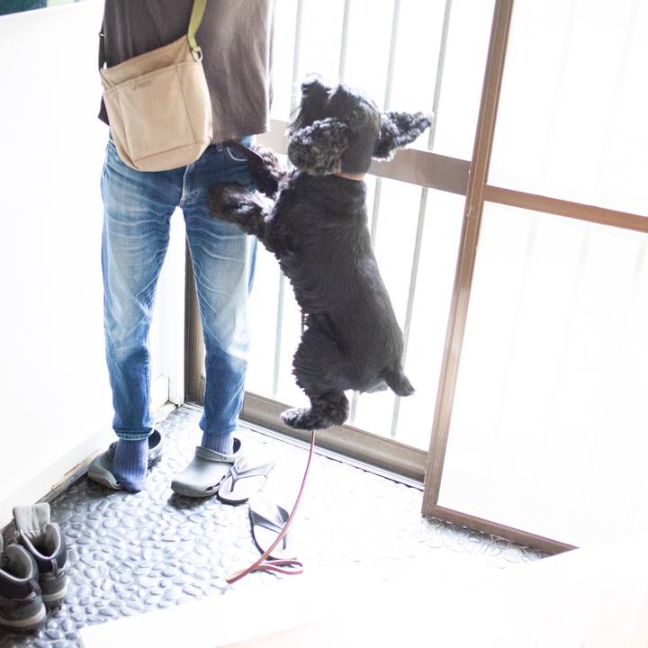 6384aa91 b97a 4344 a417 67041f5e1de4 1571363226686