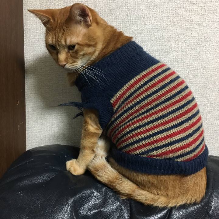 6384bb3f c310 46d8 baa3 67196f68cdb2 1541594135702