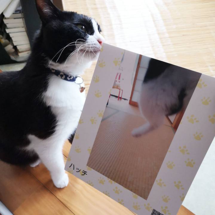 6384bce7 31dd 4534 9805 ad307c759447 1594442822475