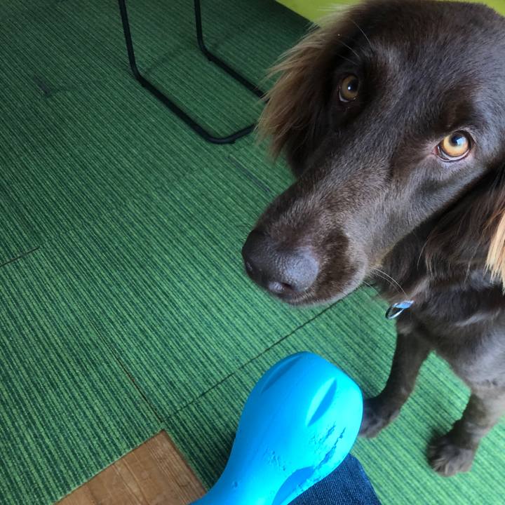 63851e5d a504 4dbe 952f 83c342f5d10d 1590587031310