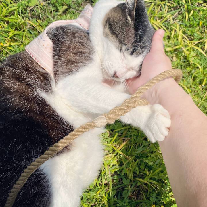 63854299 6ae1 43c3 88c5 1f7f40380ce6 1621750125058