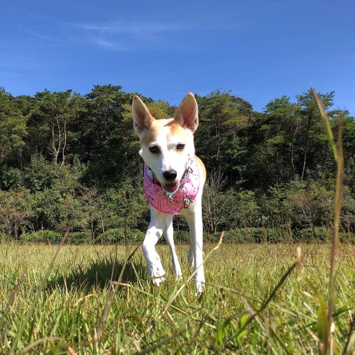 63854443 1152 4e05 969d 2c9003b14ea4 1601467700510