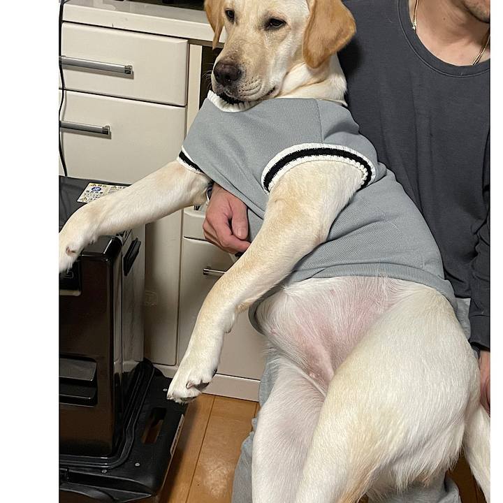 6385446c cd72 44fd afda 334d6c5f550b 1641898732235