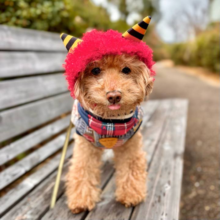 63856765 1a2f 4efd 8b1c 84e1e7c3b6b2 1770086299030