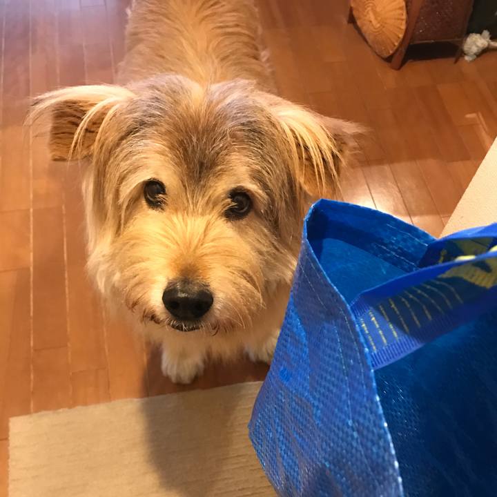 6385bcfa 00b5 4100 b8fc 8c852db3565b 1651567086714