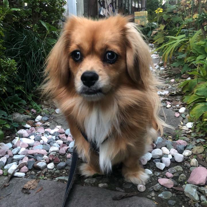 6385fa3d 90e0 42d7 8d7c 28e71b6a8aef 1542404101120