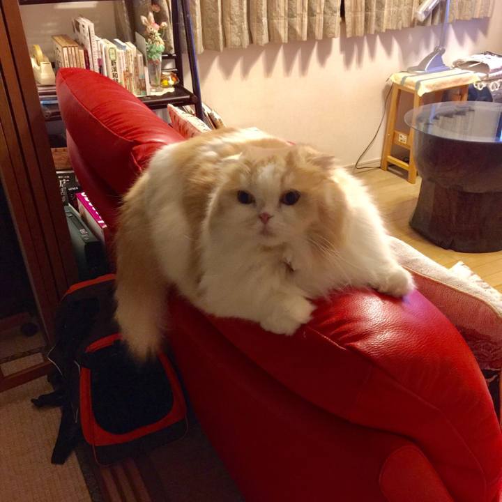 63861754 b145 4803 bf5b 654687148d71 1553000197731